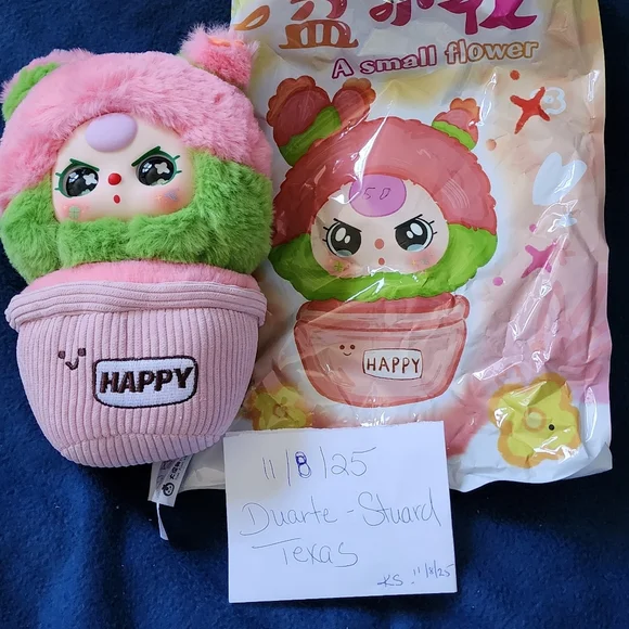 Blind boxes - Picture 8 of 16